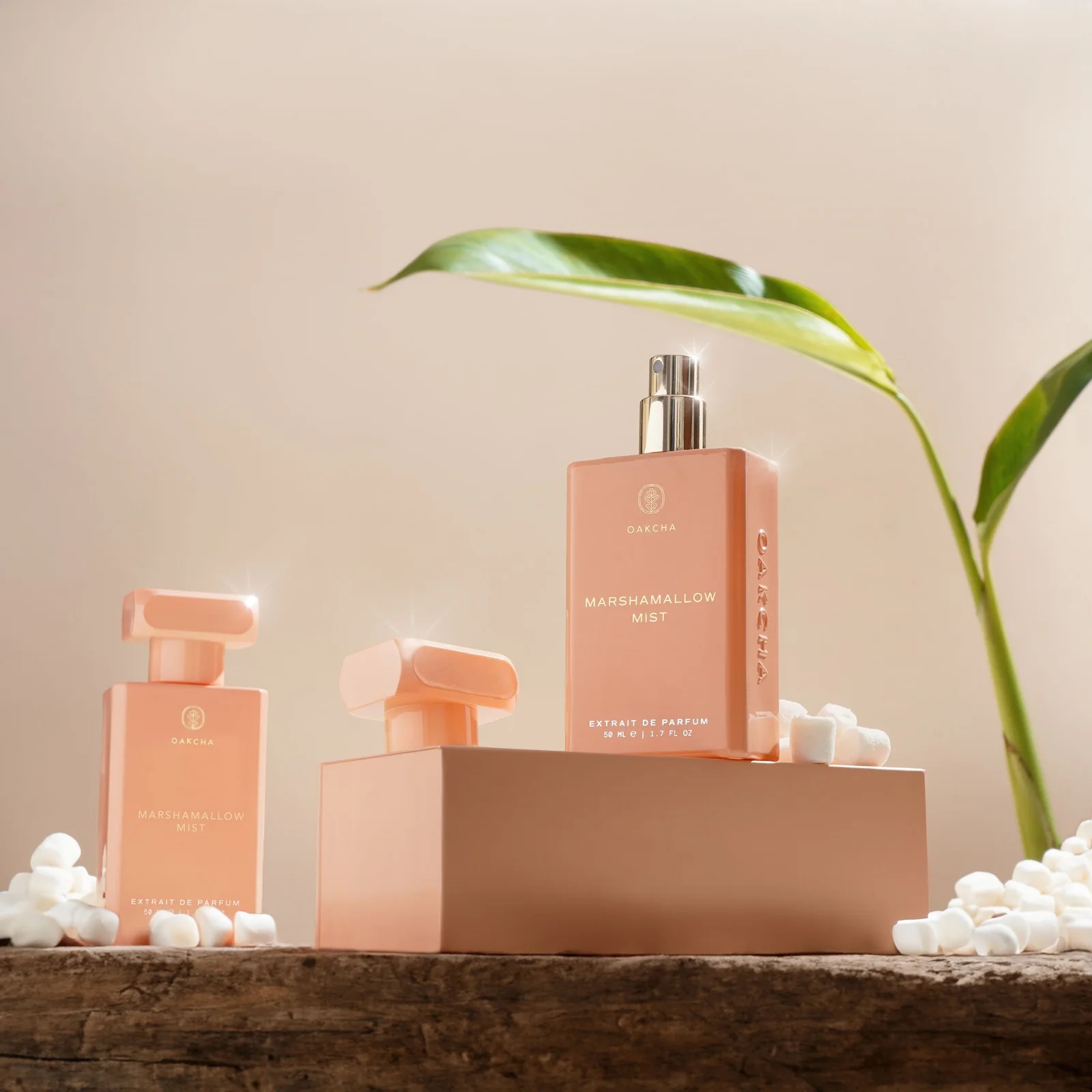 Oakcha Extrait De Parfum 50ml  - Luxury Lifestyle Aesthetics 评论和价格